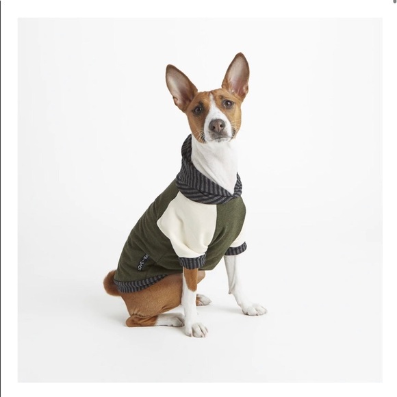Love Thy Beast Dog 325 Love Thy Beast Bamboo Knit Dog Hoodie Xs Poshmark Love Thy Beast Dog 325 Love Thy Beast Bamboo Knit Dog Hoodie Xs Poshmark